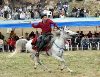 CİRİT EKİBİ ANKARA