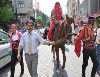 ANKARADA KİRALIK AT