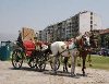 ANKARADA KİRALIK FAYTON