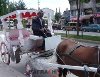 ANKARADA SÜNNET DÜĞÜNÜ ORGANİZASYONU