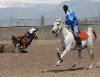 CİRİT EKİBİ ANKARA