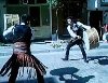DAVUL ZURNACI ANKARA
