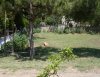 BER-KA EMLAKTAN SATILIK IKI ARSA