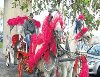 ANKARADA KİRALIK FAYTON