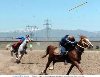 CİRİT EKİBİ ANKARA