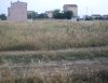 BER-KA EMLAKTAN İHTİYAÇTAN DOLAYI SATILIK İKİ ARSA