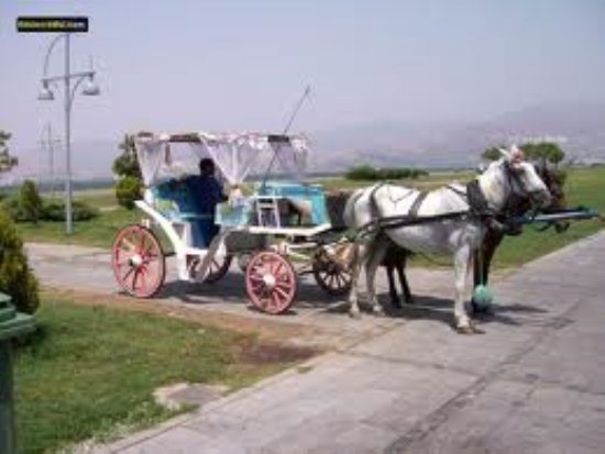 ANKARADA KİRALIK FAYTON
