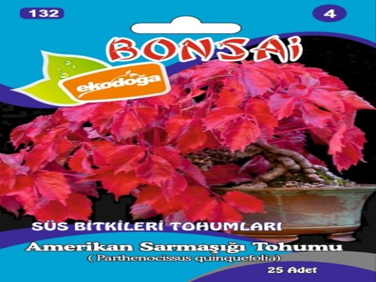 Toptan bahçe marketten satılık bonsai tohumları