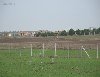 SABİT TAKSİTLERLE SİLİVRİ ÇANTA DA ARSA