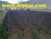 Dolu Filesi,Dolu Örtüsü,Dolu Filesi Fiyatları
