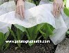 Don Ve Kırağı Örtüsü,Agril,Isı Örtüsü,Don Ve Kırağı Örtüsü Fiyatları