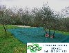 Ürün-Toplama-Filesi,Ürün-Toplama-Örtüsü,Dut-Toplama-Örtüsü,Sergenlik,Sergenlik-Fiyatı,Zeytin-Toplama-Filesi,Gölgelik-File,Sergenlik-Satışı,Ürün-Toplama-Filesi-Ankara