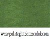 Çim Gübresi,Çim Gübresi Fiyatı,Çim Gübresi Satışı,Çim Gübresi Ankara,Çim Gübreleme,Çim Gübresi Çeşitleri