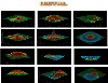   AMBALAJINDA GOLDEN KİNG DPR 3D GÖRÜNTÜLÜ DEDEKTÖR FULL SET