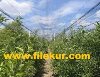 Dolu Filesi,Dolu Örtüsü,Dolu Filesi Fiyatları