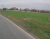 BU ARSALAR SÜREKLİ PİRİM YAPAR