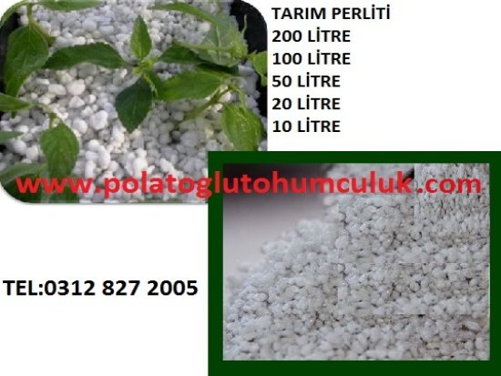 Ankara Tarım Perliti,Tarım Perliti,Tarım Perliti Satışı,Tarım Perliti Fiyatı,Tarım Perliti Fiyatları,Tarim Perliti Kullanımı,Tarım Perliti Faydaları,Tarım Perlit Fiyatları