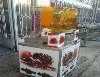 CANCAN OTOMATİK NAR-GREYFURT SIKACAĞI