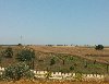OLURMU? OLDU BİLE:))15.000 TL PEŞİNATLA İSTANBUL