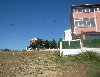 GÖNÜLLER BİR OLSUN DEDİK SİZ 30000TL PEŞİNAT BİZ TAPUYU VERDİK:)