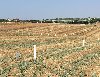 SİLİVRİ YENİ ÇANTA MERKEZDE DENİZ MANZARALI ARSA