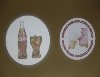  6 Adet Logo Yansitici Slayt Olan Cihaz